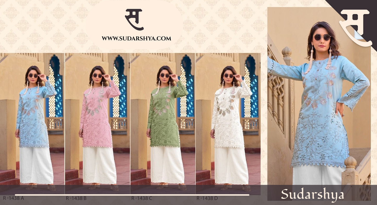 Chikkan work plazzo two piece set